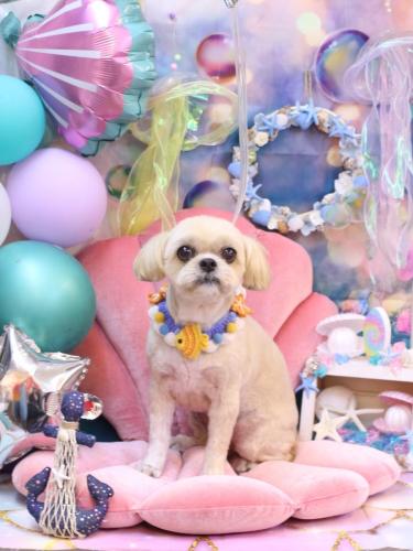 20240816モカちゃん